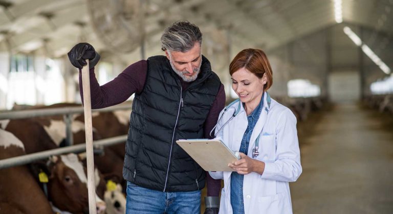manager and veterinary doctor on diary farm ag