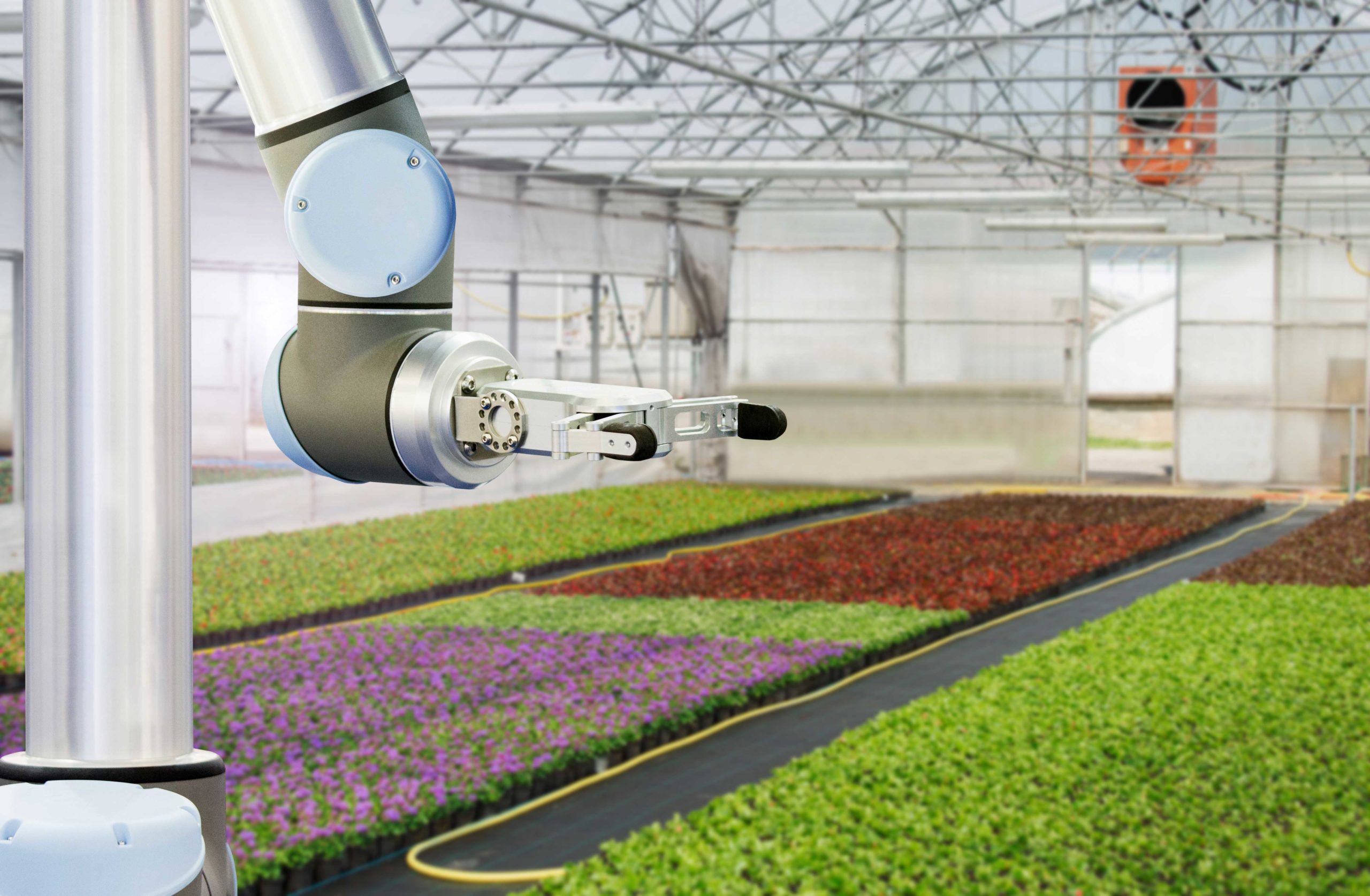 OAFRI Commercialization Stream automated machine inside greenhouse 1