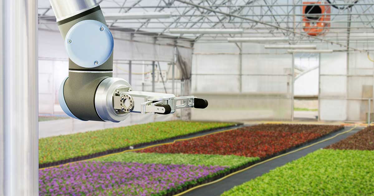 OAFRI Commercialization Stream automated machine inside greenhouse 2