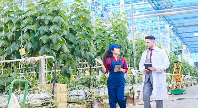 agtech accelerator two people walking in greenhouse analyzing crops