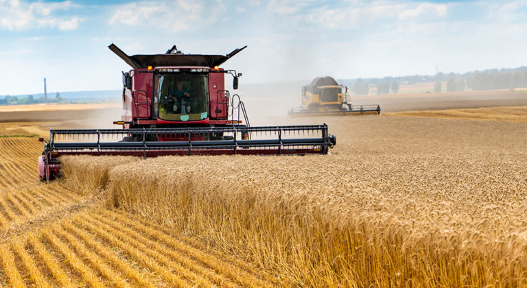 Canadian Association of Farm Advisors Harvesters with dust in the field are harvesting wheat
