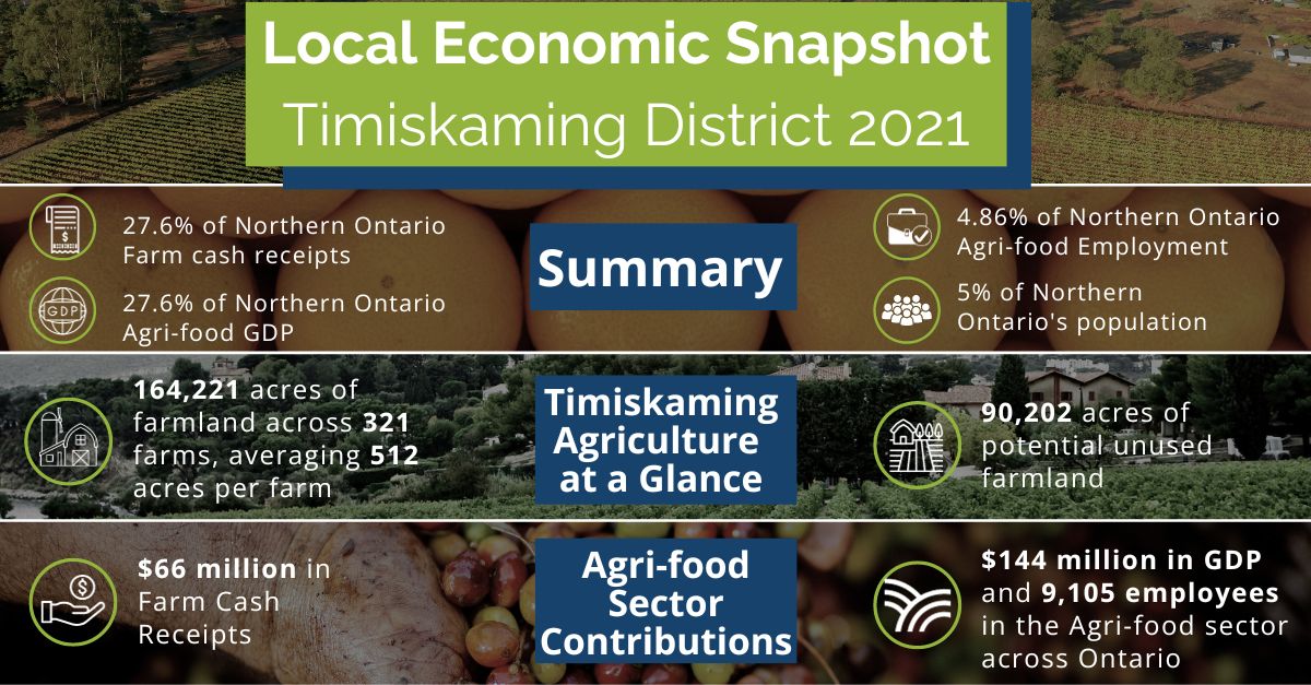 Local Economic Snapshot Timiskaming District EN story graphic