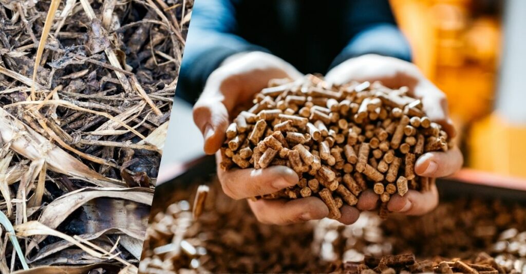 Close up of crop soil and person holding pellets in their hands